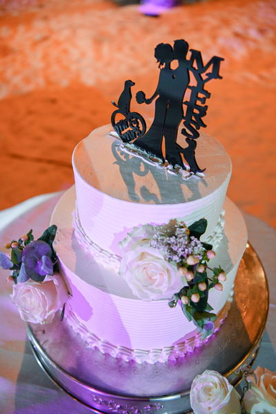 Paradisus wedding cake