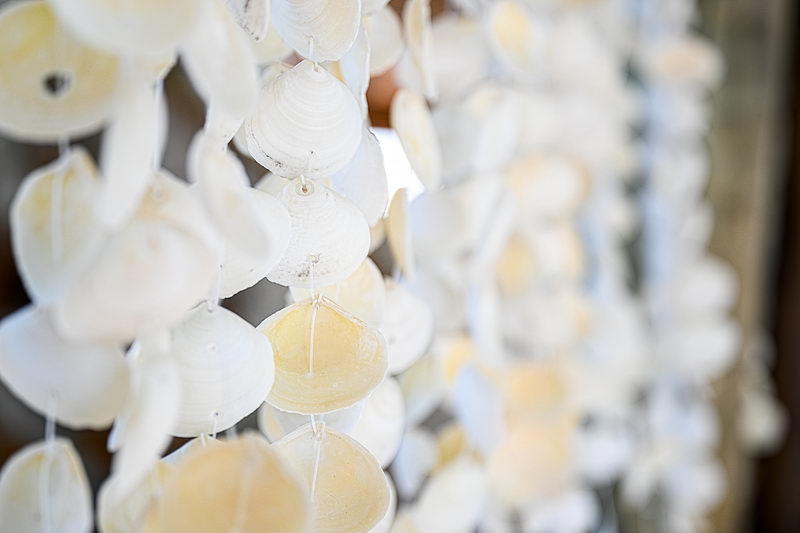 Seashells decoration