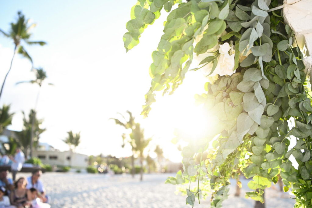 Flowers Trumpet Beach Hard Rock