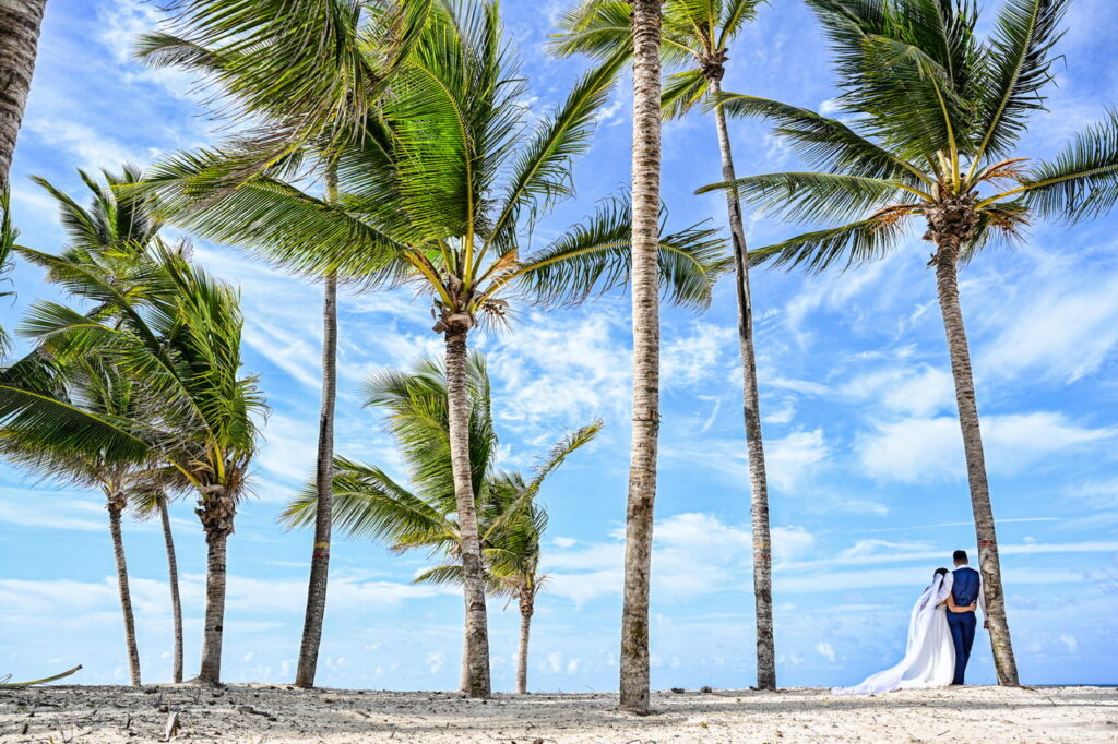 Palm tree forest HRPC by Punta Cana wedding photographer