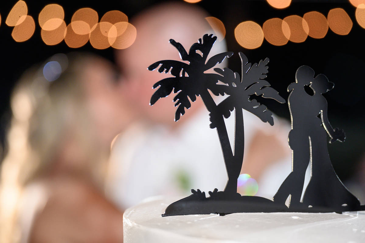 tropical cake at hard rock by photo cine art