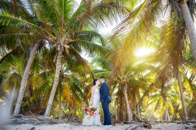 Hard Rock palm tree forest photography