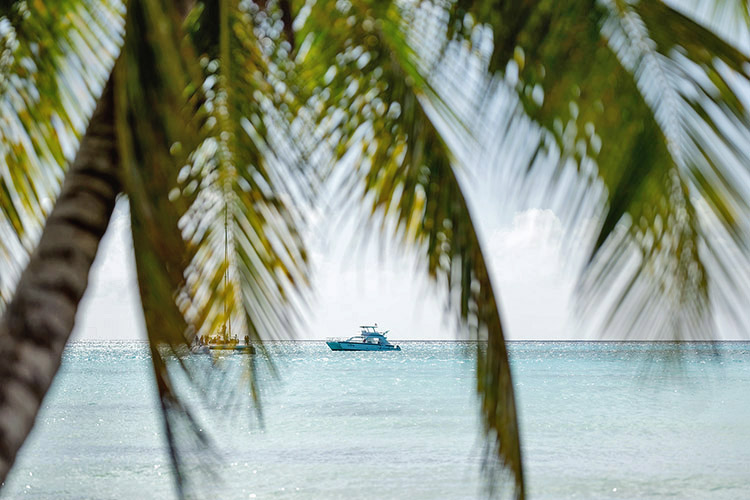 Luxury Yachts excursions in Punta Cana