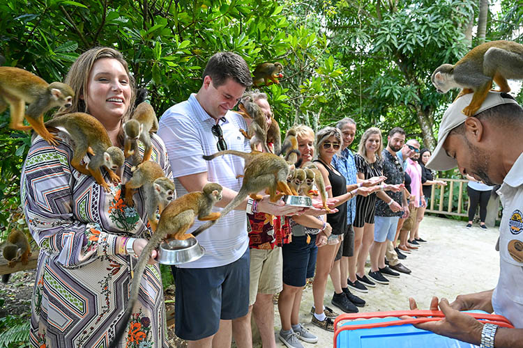 Monkeyland adventures in Punta Cana