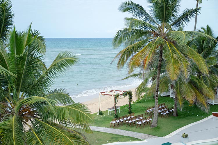 The Palms