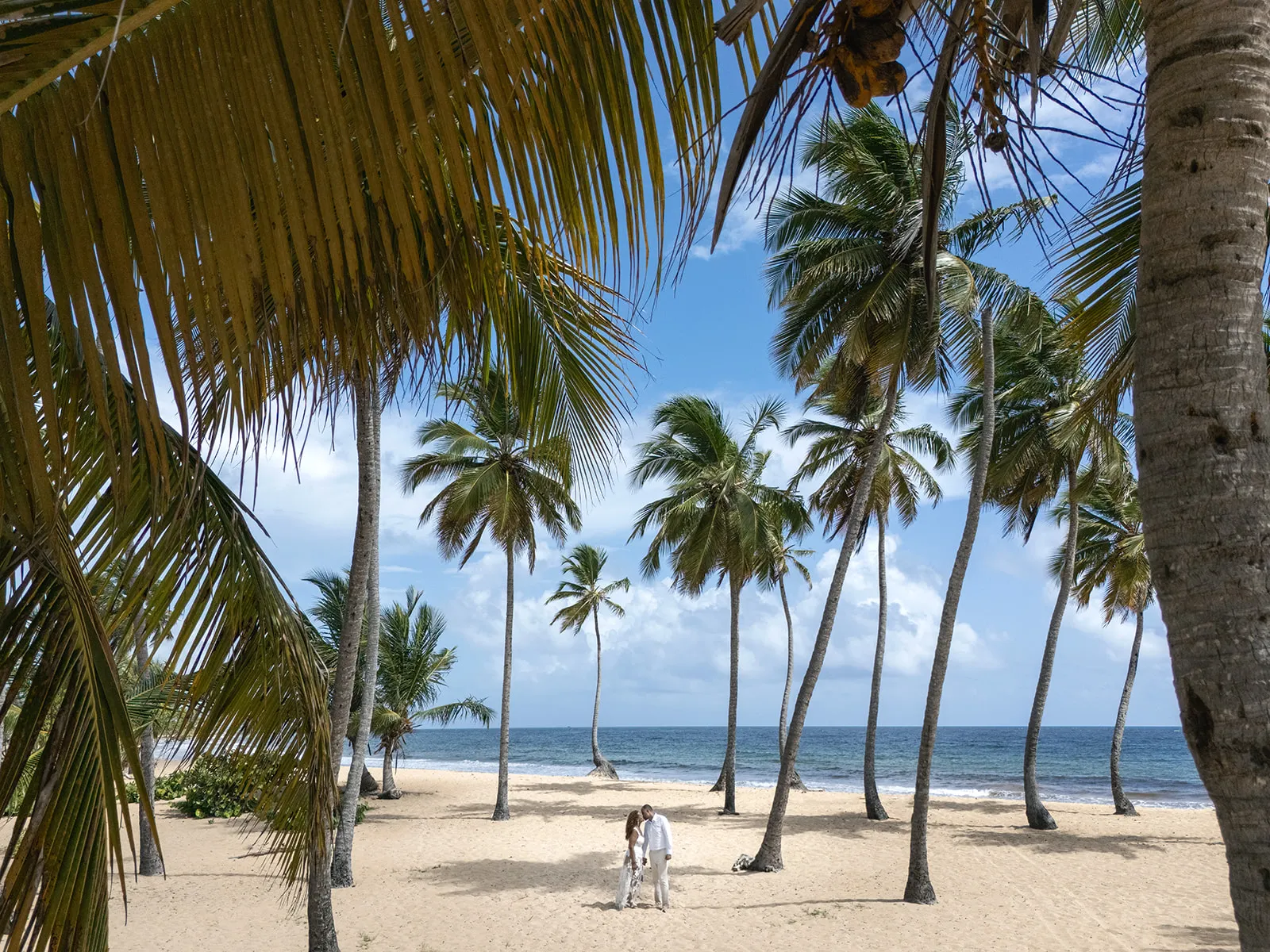 Quiana and Julio standing among the palm trees on the wide sand of Macao Beach Quiana and Julio standing among the palm trees on the wide sand of Macao Beach